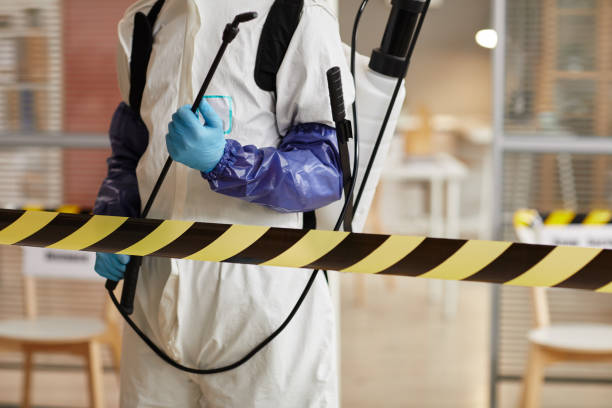 Professional Sewage Cleanup technician working in Dripping Springs, TX
